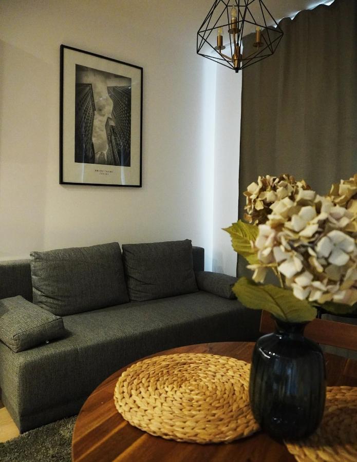 Cozy In Centrum Downtown Srodmiescie Zelazna Zelazna Jerozolimskie Palace Of Culture And Science! Wifi, Netflix, Hbo, Smarttv 55cal * Warszawa